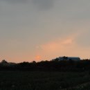 판포보름 이미지