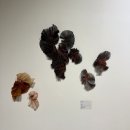 다채로운 삶 (퍼스널컬러) | 청주 퍼스널컬러 전문가가 본 &#39;2025 청주공예비엔날레&#39; 후기