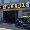 할리월드 333 이미지