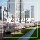 여천천 희망고래선  화장실 | 울산 벚꽃 구경은 시내에서 가까운 여천천 산책로