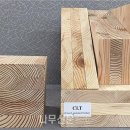 활엽수 이미지