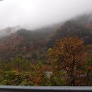 국립미천골자연휴양림 이미지