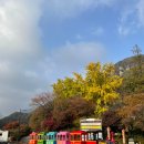 강천산 힐링가 | [담양]담빛누룽지삼계탕/강천산 단풍구경 후기