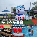 에이플러스푸드 | 반려견과 함께하는 물놀이, 도그스포지움 송추점 애견 수영장 다녀 온 후기(+명당자리)