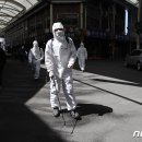 대구능금시장 이미지