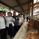 대월목장 이미지