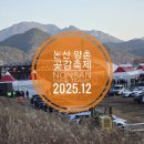 양촌 | 논산 여행 겨울 축제 2025 제23회 양촌 곶감축제 후기