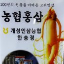 개성인삼농협 - 북구 | 개성인삼농협