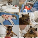 만세농장 이미지