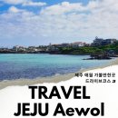 상선민박 | 제주 애월 가볼만한곳 제주도 드라이브코스 애월해안도로