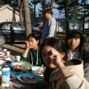 파인우드비치 이미지