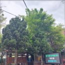 가나벌초대행 | 기술력 갖춘 안산 조경공사 안산조경업체 가나조경건설