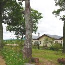 영농조합법인 동편제마을 이미지