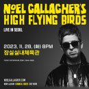 하이플라잉