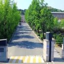 대전문화예술센터 뒤 이미지