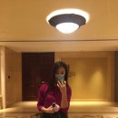 호텔에펠탑 이미지