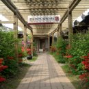 고구려민속촌