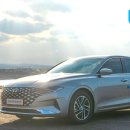 (주)제주현대렌트카 이미지