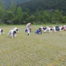 은천태권도장 이미지