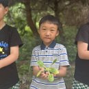 🍃(자연놀이터) 배추모종, 쪽파를 심어요 이미지