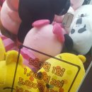 보물섬게임랜드 | (대구북구)경대북문 인형뽑기방 소개 및 후기 2탄/뽑기뽀끼,보물섬,뽀꼬뽀꼬