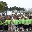 포토그린 - 춘천시 춘주로 106 | 포토그린