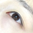 4961 | 둔산동속눈썹연장 아이보리뷰티샵 인모j9,10 후기