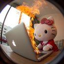 강원대학교 | 강원대학교 대학일자리플러스센터 상담후기