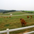 태신목장 이미지