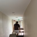 J앤J 복지카 | 괌 태교여행 3일차(1) - 머스탱렌트, 괌 남부투어(Mighty Purple Cafe/스페인광장/에메랄드밸리/탈리팍...