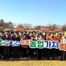 함평공설운동장 이미지