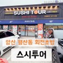 스시투어평산덕계점 | 양산 회전초밥 맛집 스시투어 덕계평산점 내돈내먹 후기