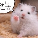 무드메이커 메이크업