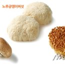 새로운 모습과 색다른 풍미의 버섯들 이미지