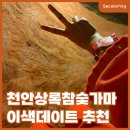 상록참숯가마찜질방 | 천안 상록참숯가마 불가마 숯가마 찜질방 추천 이색데이트