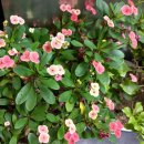 한티역약국 이미지