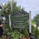 힐링포레 이미지