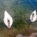 동화마을 이미지