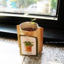 A-MAX(에이맥스) 이미지