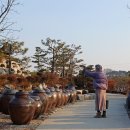 이화정원