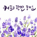 7월17일 화요일밤10시 먹자번개/박카스대장 이미지