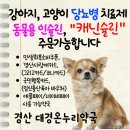 경산종합약국 이미지