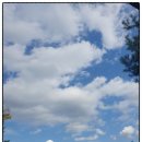 태고정(아래) 이미지