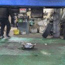 자신타이어 이미지