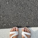 유민태양광 이미지