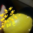 럭스바디 이미지