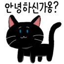 피자나라치킨공주광주 네이버블로그