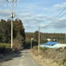 진동목장 | 제주도 서귀포 가볼만한곳 말 먹이 체험 할 수 있는 목장카페, 대한목장 솔직방문후기