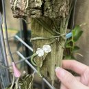 우성농원 이미지