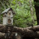 메밀꽃 필 무렵 코스 이미지